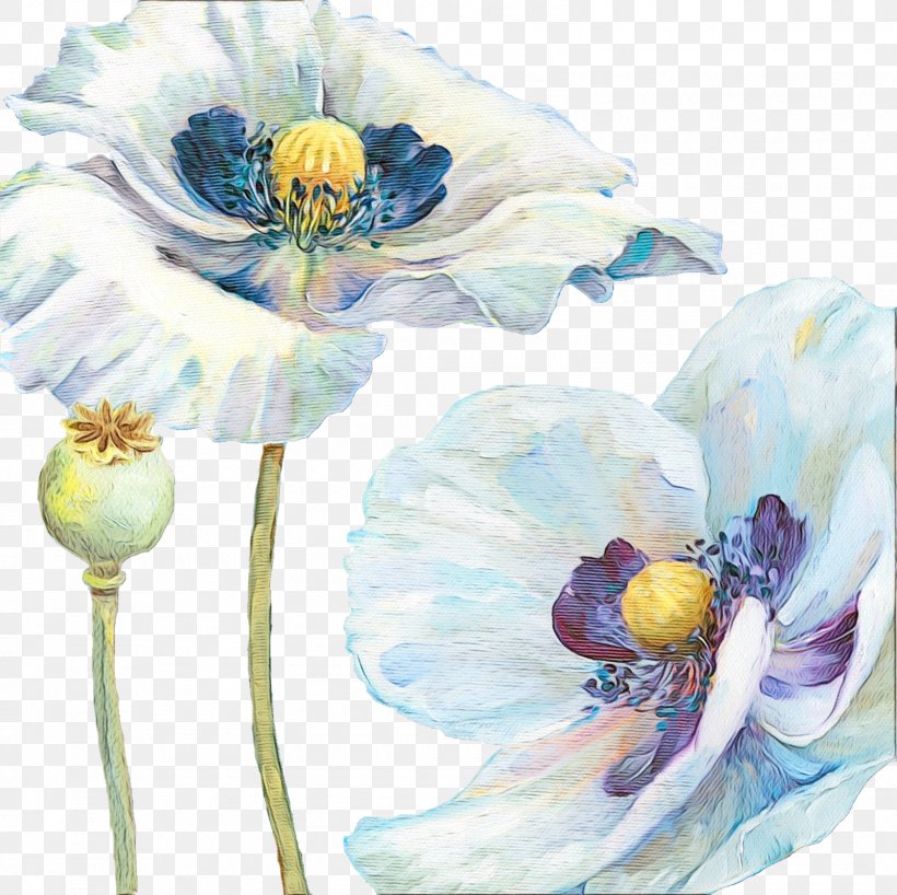 Blue Watercolor Flowers, PNG, 1600x1598px, Watercolor, Anemone, Blue, Canvas, Canvas Print Download Free