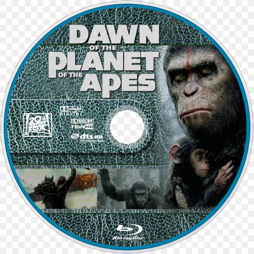Film Snout Poster Printing Dawn Of The Planet Of The Apes, PNG, 1000x1000px, Film, Dawn Of The Planet Of The Apes, Dvd, Poster, Printing Download Free