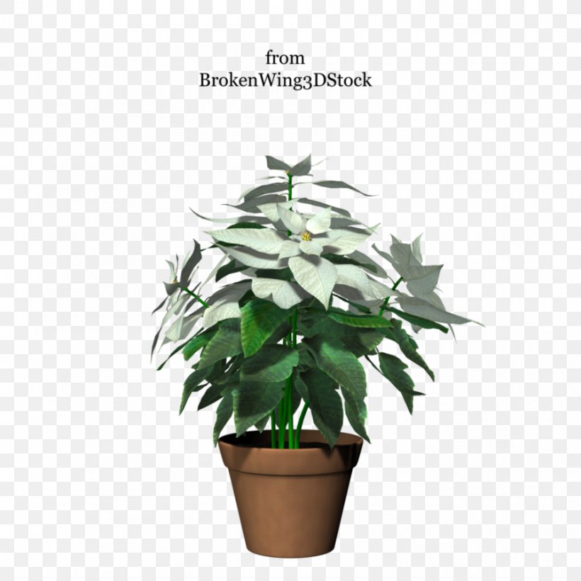 Flowerpot Houseplant Tree, PNG, 894x894px, Flowerpot, Evergreen, Flower, Houseplant, Leaf Download Free