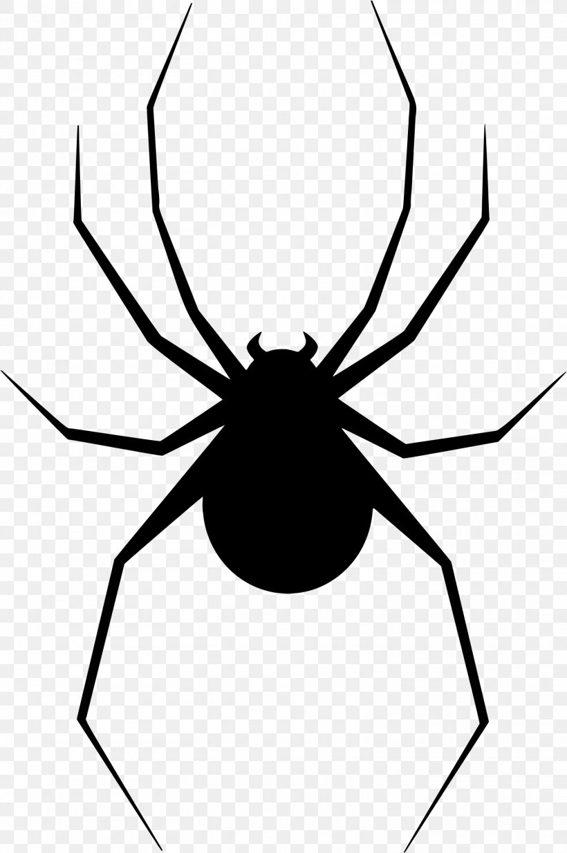 Spider Web Clip Art, PNG, 1508x2268px, Spider, Arachnid, Arthropod, Artwork, Black And White Download Free