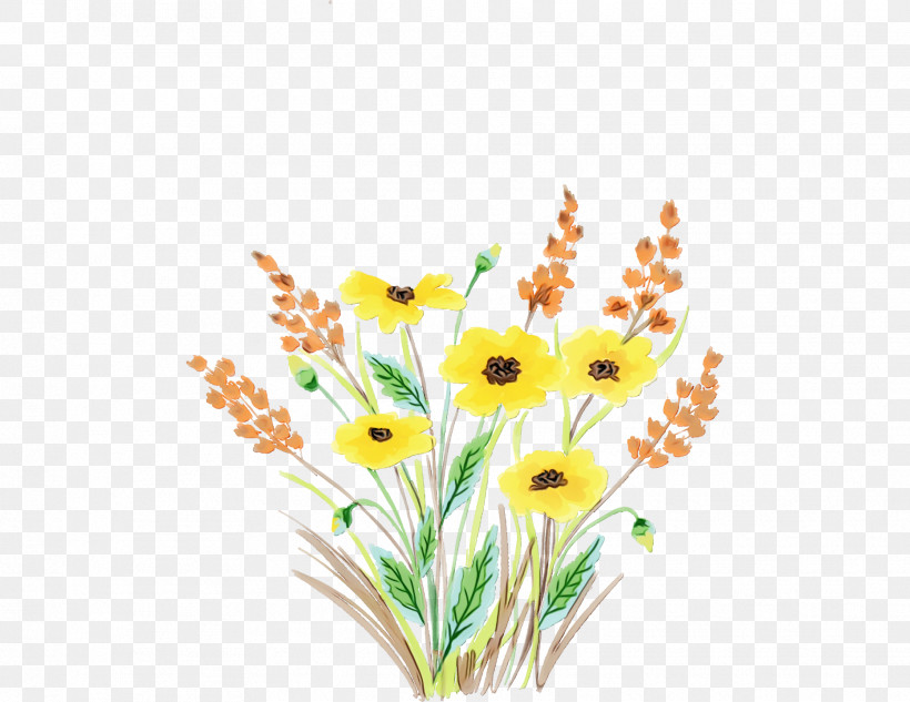 Flower Plant Cut Flowers Pedicel Grass, PNG, 1864x1440px, Spring, Cut Flowers, Flower, Grass, Paint Download Free