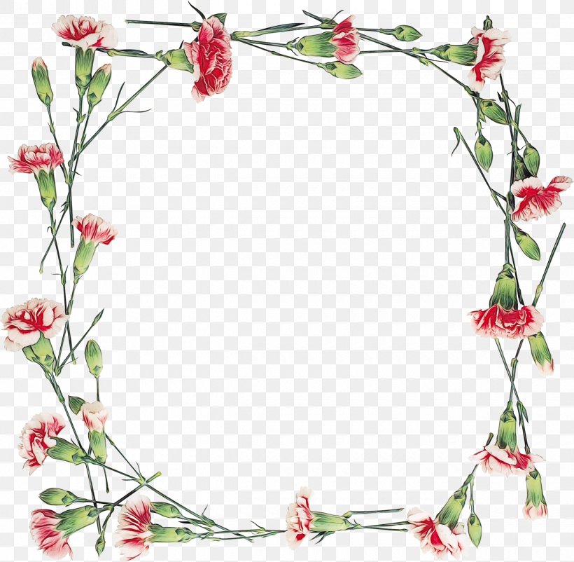 Pink Background Frame, PNG, 2440x2388px, Carnation, China Pink, Cut Flowers, Floral Design, Floriculture Download Free