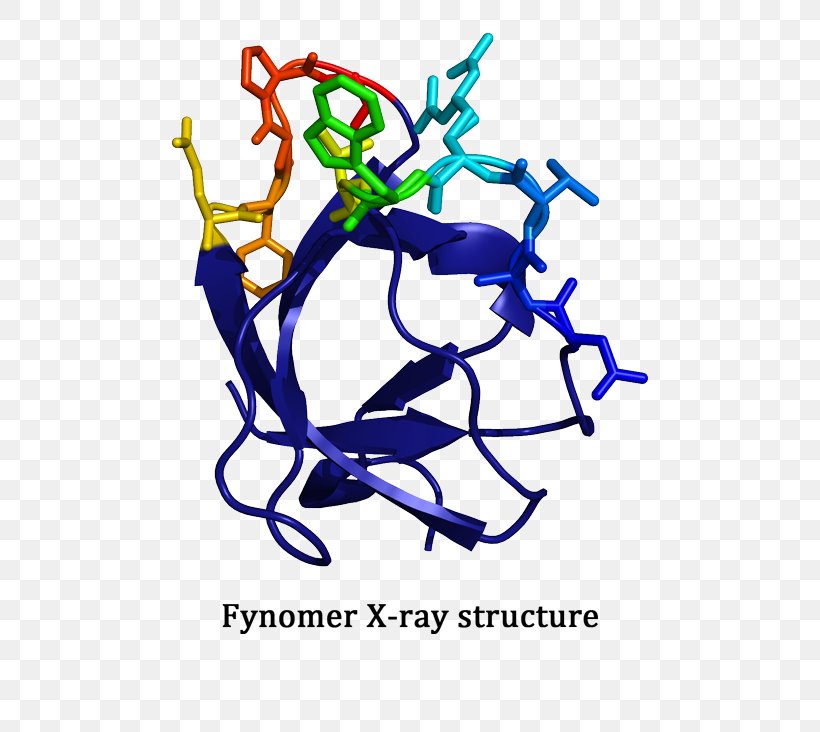 Protein Covagen AG Molecular Binding Small Molecule, PNG, 506x732px, Protein, Area, Art, Artwork, Binding Protein Download Free