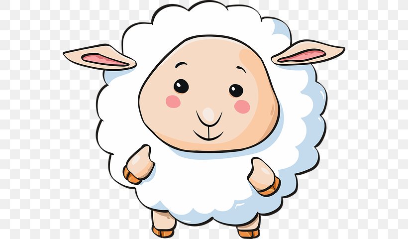 Sheep Farming Agriculture Vector Graphics Clip Art, PNG, 568x480px, Sheep, Agriculture, Cartoon, Cheek, Cowgoat Family Download Free
