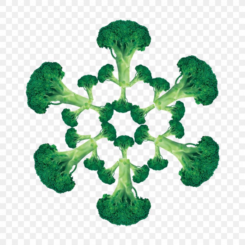 Snowflake Shape, PNG, 1001x1001px, Snow, Broccoli, Cloud, Food, Grass Download Free