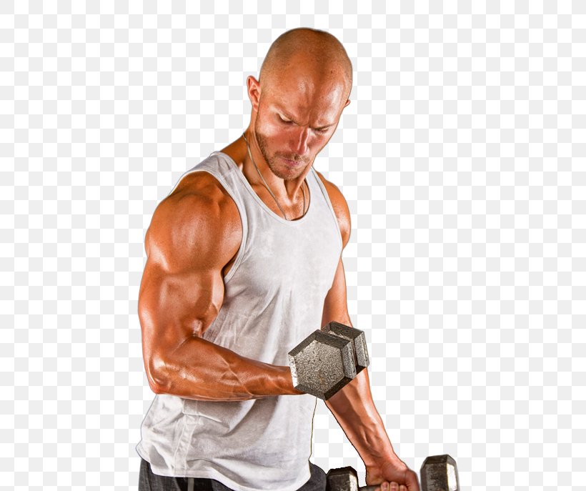 Squat Strength Training Deadlift Shoulder, PNG, 500x687px, Watercolor, Cartoon, Flower, Frame, Heart Download Free