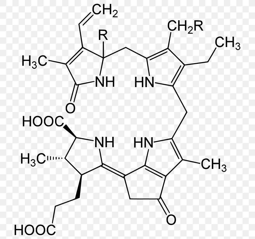 Luciferin Dinoflagellates Tetrapyrrole Plastid Dinoflagellate Luciferase, PNG, 750x768px, Luciferin, Algae, Area, Black And White, Chlorophyll Download Free