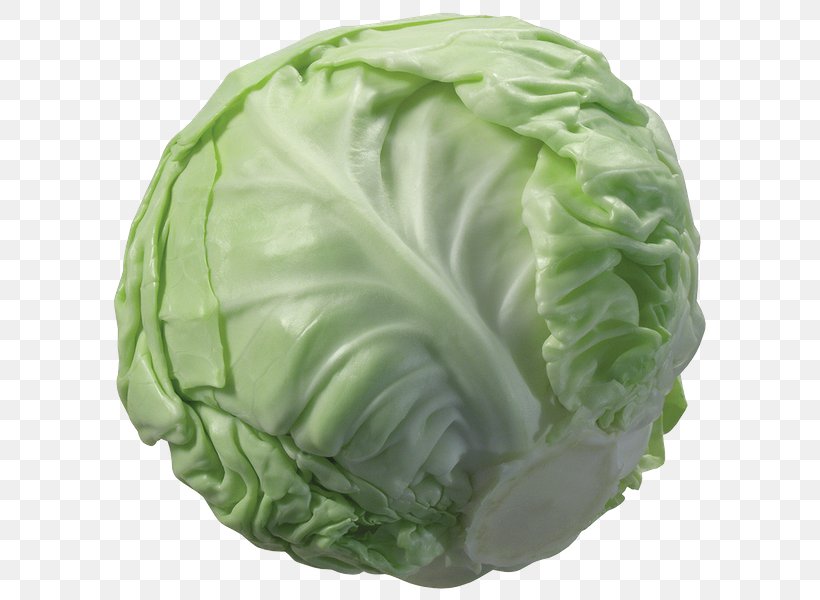 Napa Cabbage Cauliflower Vegetable, PNG, 600x600px, Cabbage, Brassica Oleracea, Broccoli, Cauliflower, Chinese Broccoli Download Free