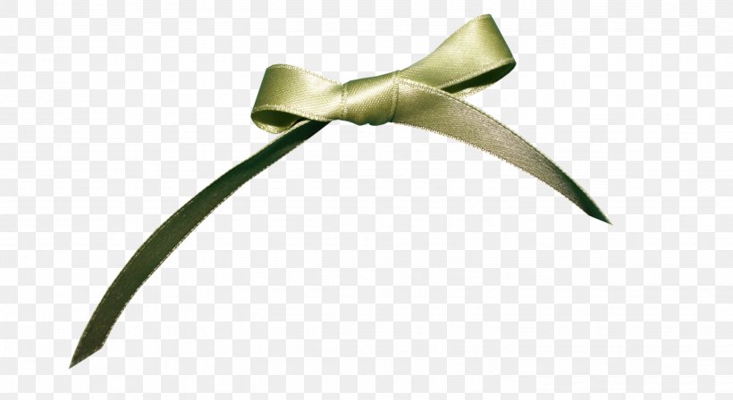 Ribbon Gift Shoelace Knot, PNG, 2889x1581px, Ribbon, Flower, Gift, Gratis, Green Download Free
