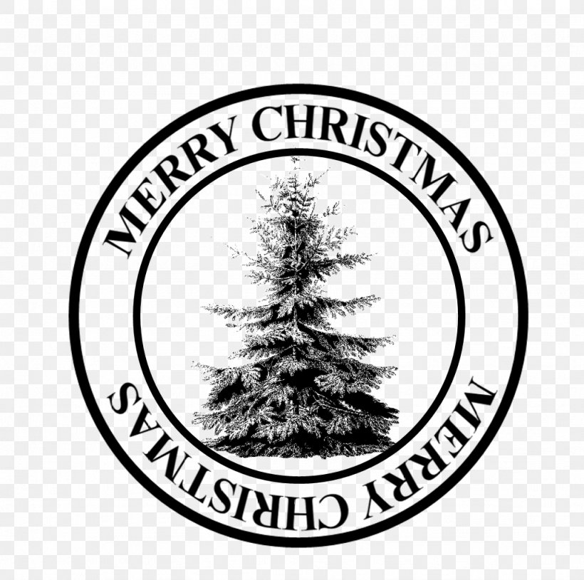 Spruce University Of Mary Hardin-Baylor Christmas Tree Christmas Ornament Logo, PNG, 1024x1018px, Spruce, Alsagoff Family, Brand, Christmas Day, Christmas Decoration Download Free