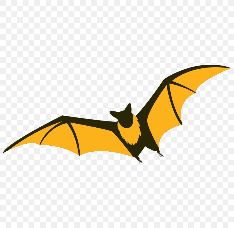 Bat Flight Drawing Illustration Vector Graphics, PNG, 800x800px, Bat, Black And White, Cartoon, Drawing, Fictional Character Download Free