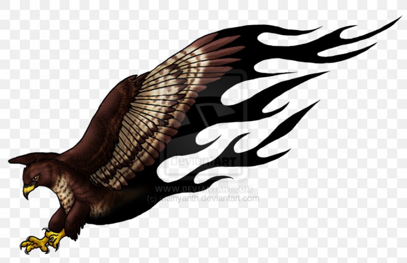 Eagle Buzzard Hawk Tattoo Turkey Vulture, PNG, 900x583px, Eagle, Accipitriformes, Animal, Beak, Bird Download Free