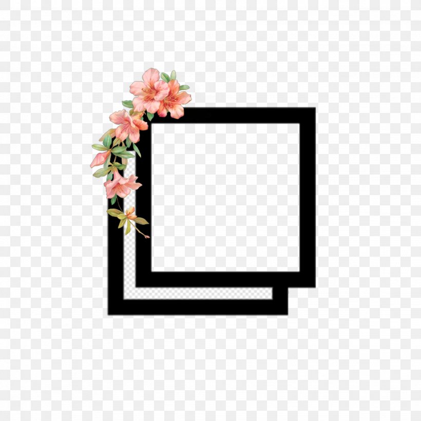 Image Photography Desktop Wallpaper Video, PNG, 2048x2048px, 2018, Photography, Drawing, Film Frame, Flower Download Free