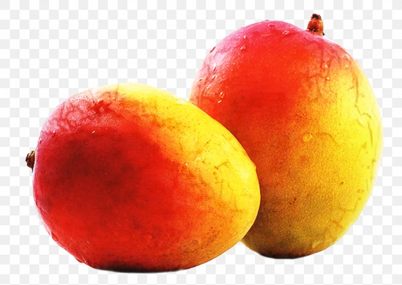 Mango Cartoon, PNG, 1745x1240px, Food, Accessory Fruit, Apple, Ataulfo, Diet Download Free