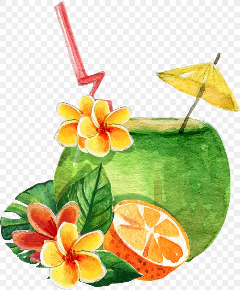 Cocktail Orange Juice Coconut Milk, PNG, 1208x1464px, Cocktail, Cocktail Garnish, Coconut, Coconut Milk, Drink Download Free