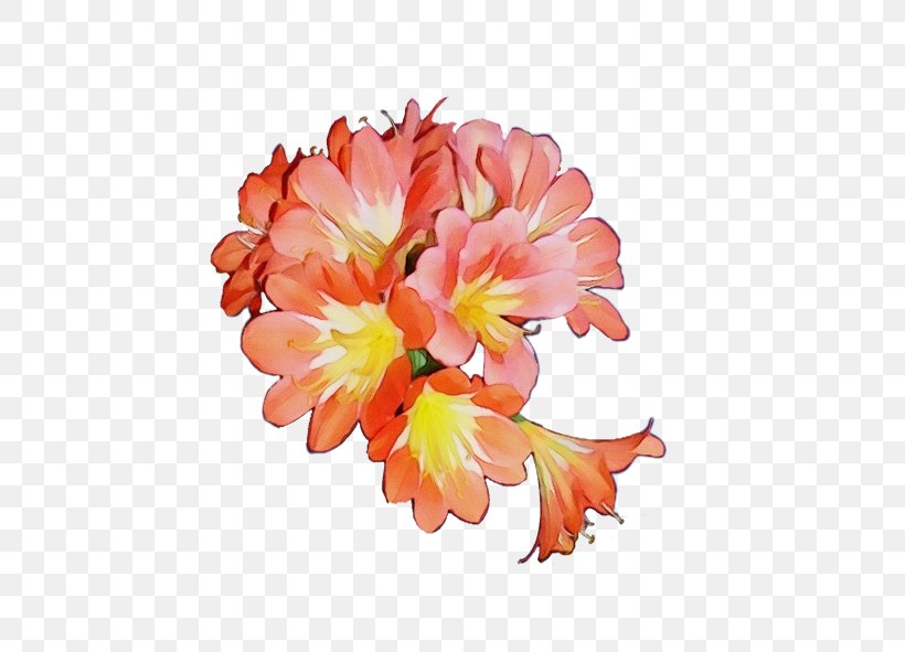 Floral Design Cut Flowers Petal Flowering Plant, PNG, 591x591px, Floral Design, Cut Flowers, Flower, Flowering Plant, Natal Lily Download Free