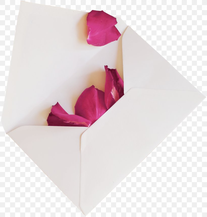 Paper Envelope Oludemi Jagun, Dosunmu And Co Mind, PNG, 1549x1621px, Paper, Child, Envelope, Flower, Homo Sapiens Download Free