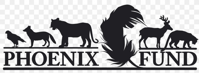 Phoenix Fund Mustang Logo Northeast Asian Leopard Tiger, PNG, 1600x589px, Mustang, Animal, Black And White, Brand, Horse Download Free