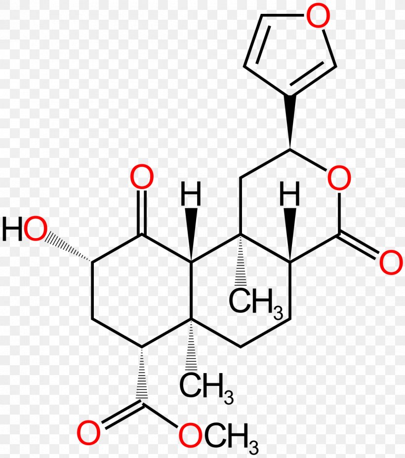 Sage Of The Diviners Salvinorin A Psychoactive Drug Molecule, PNG, 1200x1359px, Sage Of The Diviners, Agonist, Area, Chemical Compound, Chemical Substance Download Free