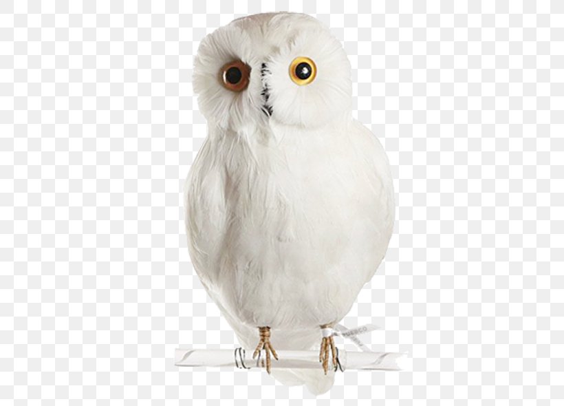 Snowy Owl Bird Clip Art, PNG, 600x590px, Owl, Barn Owl, Beak, Bird, Bird Of Prey Download Free