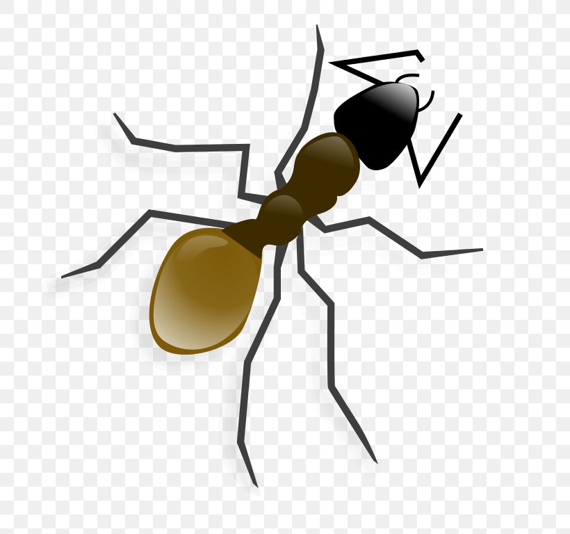 Ant Clip Art, PNG, 768x768px, Ant, Ant Colony, Arthropod, Artwork, Black Garden Ant Download Free