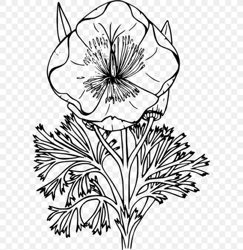 California Poppy Coloring Book Drawing, PNG, 600x843px, California Poppy, Artwork, Black And White, Child, Color Download Free