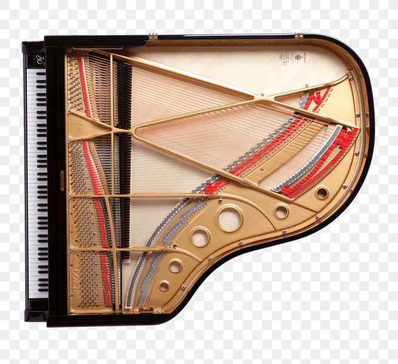 Grand Piano String Fazioli Piano Wire, PNG, 750x750px, Watercolor, Cartoon, Flower, Frame, Heart Download Free