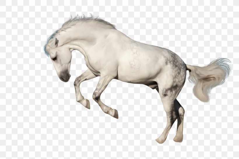 Horse Animal Figure Mane Stallion Mare, PNG, 2448x1632px, Horse, Animal Figure, Colt, Foal, Mane Download Free