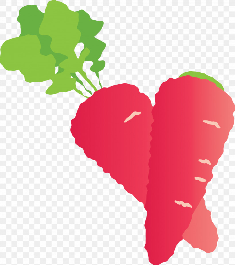 Carrot, PNG, 2662x3000px, Carrot, Biology, Fruit, Green, Heart Download Free