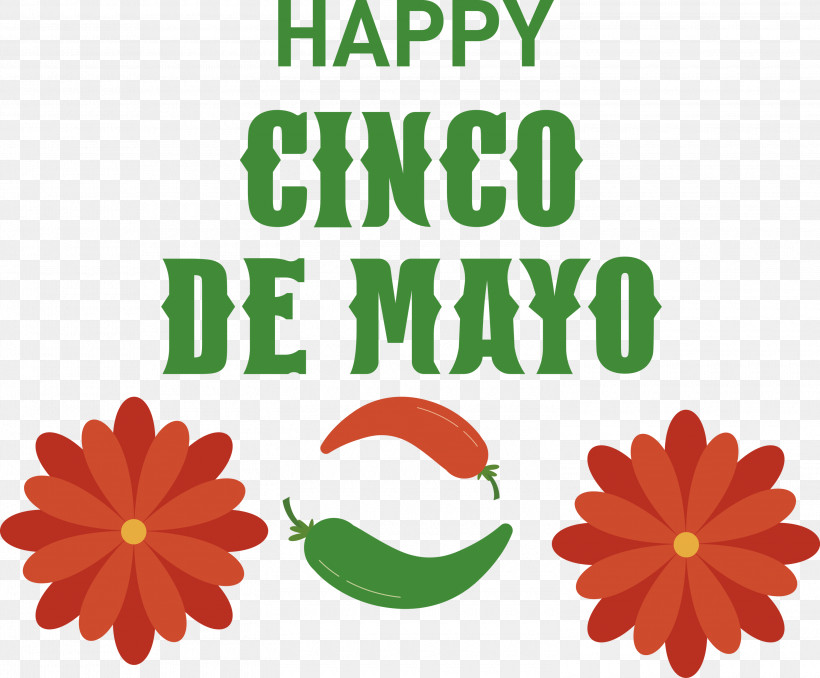 Cinco De Mayo Fifth Of May Mexico, PNG, 3000x2481px, Cinco De Mayo, Biology, Fifth Of May, Flower, Geometry Download Free