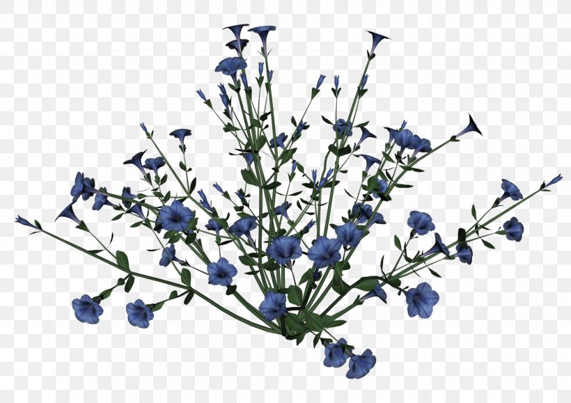 Flower Display Resolution Clip Art, PNG, 1600x1131px, Flower, Blue, Branch, Chicory, Cut Flowers Download Free