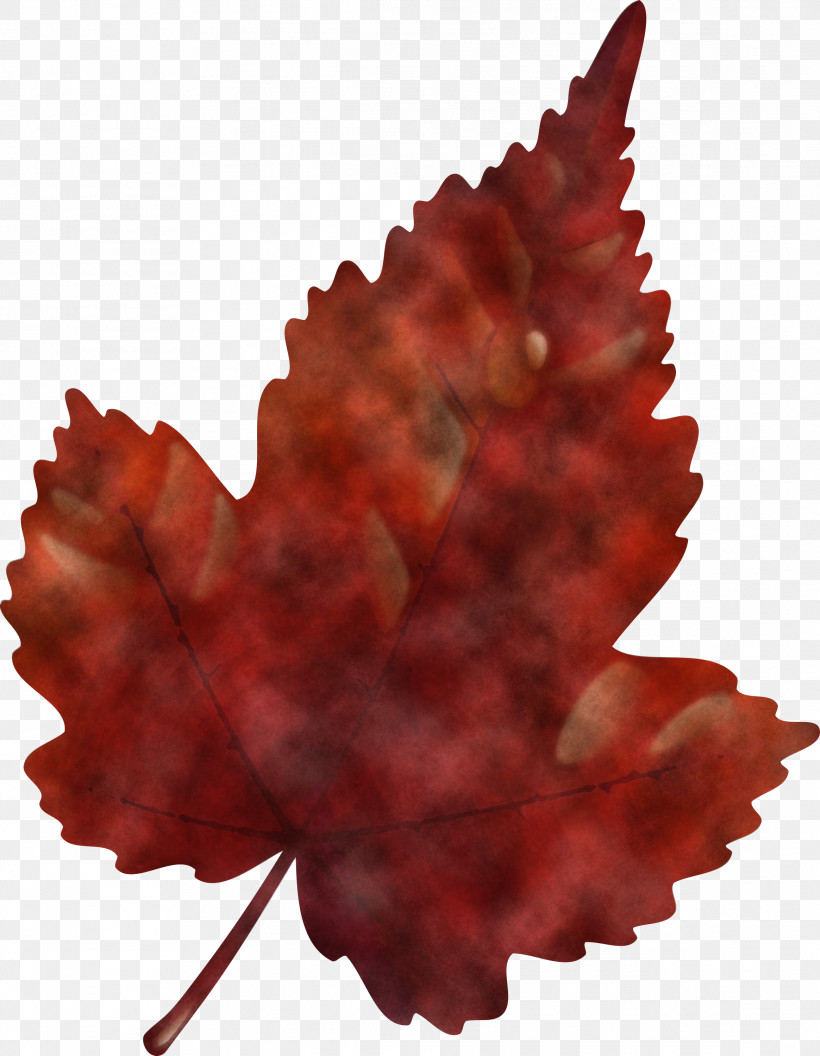 Maple Leaf, PNG, 2329x3000px, Leaf, Flower, Maple Leaf, Plane, Plant Download Free