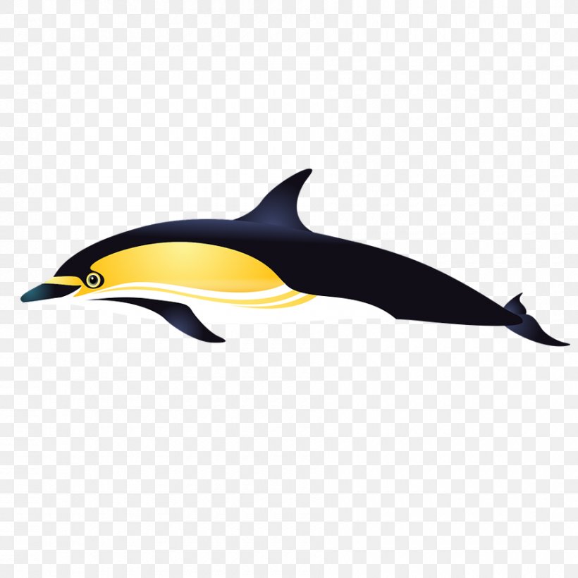 Short-beaked Common Dolphin Tucuxi Porpoise Common Bottlenose Dolphin, PNG, 900x900px, Shortbeaked Common Dolphin, Aquatic Animal, Beak, Bird, Chilean Dolphin Download Free