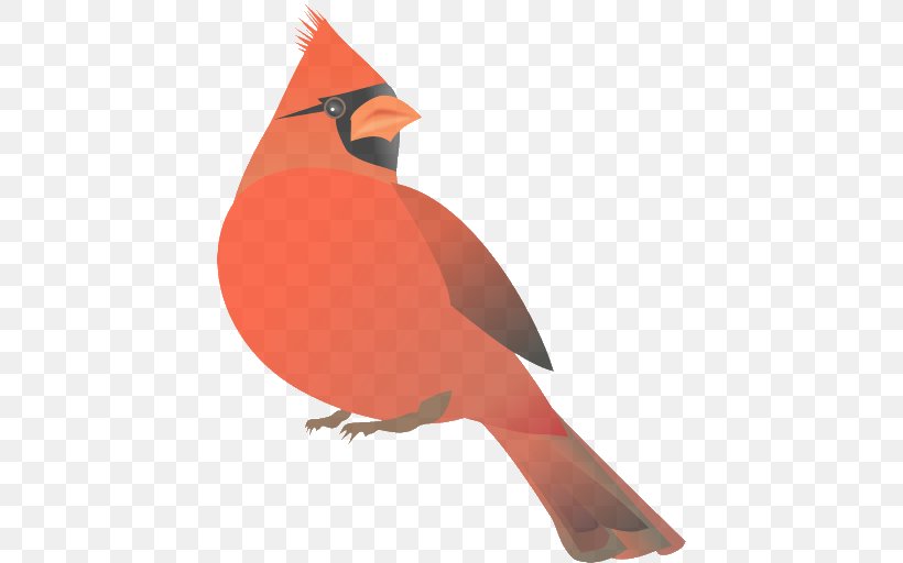 Bird Northern Cardinal Beak Cardinal Songbird, PNG, 512x512px, Bird, Beak, Cardinal, Northern Cardinal, Perching Bird Download Free