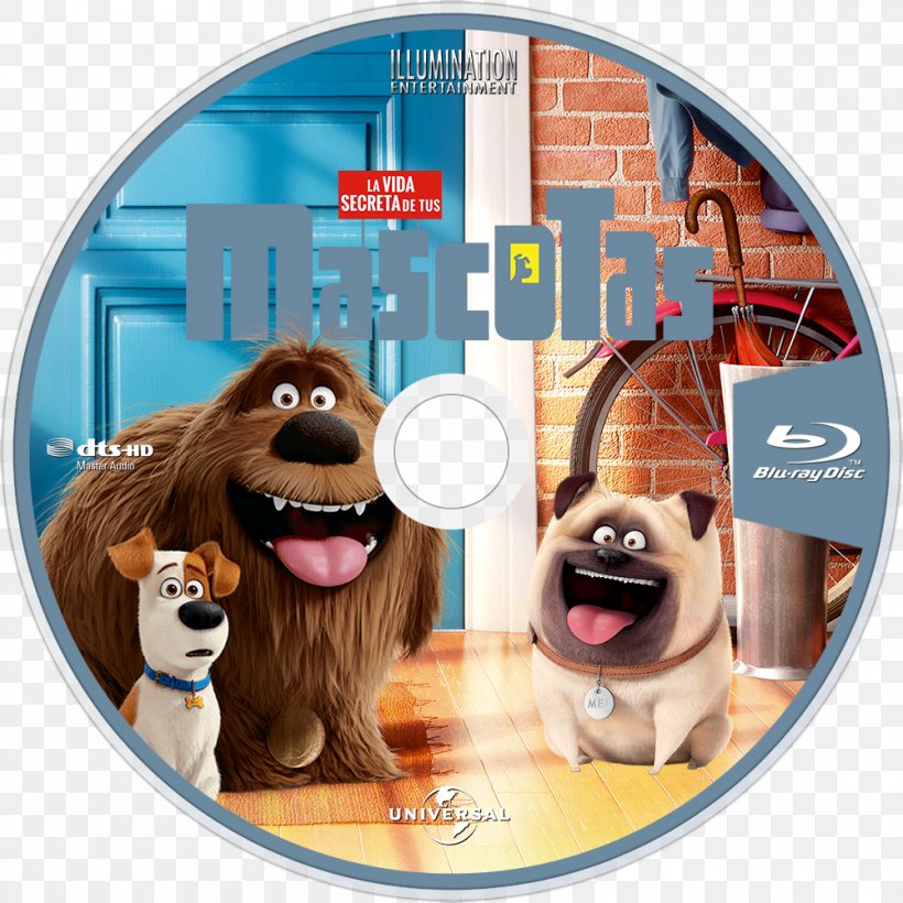 Film Pet 0 Market, PNG, 1000x1000px, 2016, Film, Bar, Dvd, Market Download Free