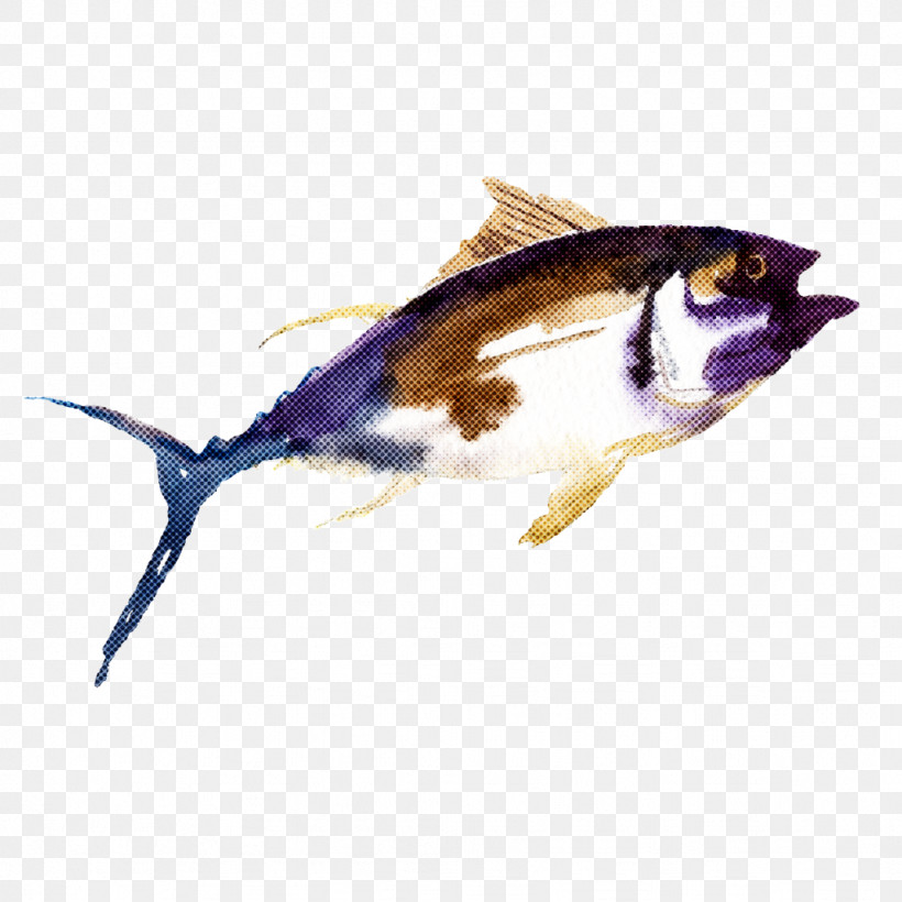 Fish Fish Bony-fish, PNG, 1024x1024px, Fish, Bonyfish Download Free