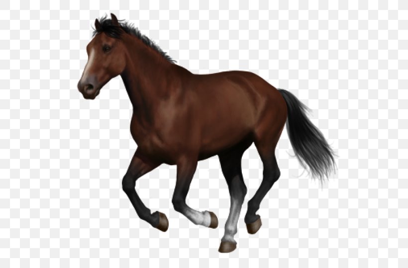 Mustang Andalusian Horse Trakehner Arabian Horse Budyonny Horse, PNG, 550x540px, Mustang, Andalusian Horse, Animal, Animal Figure, Arabian Horse Download Free