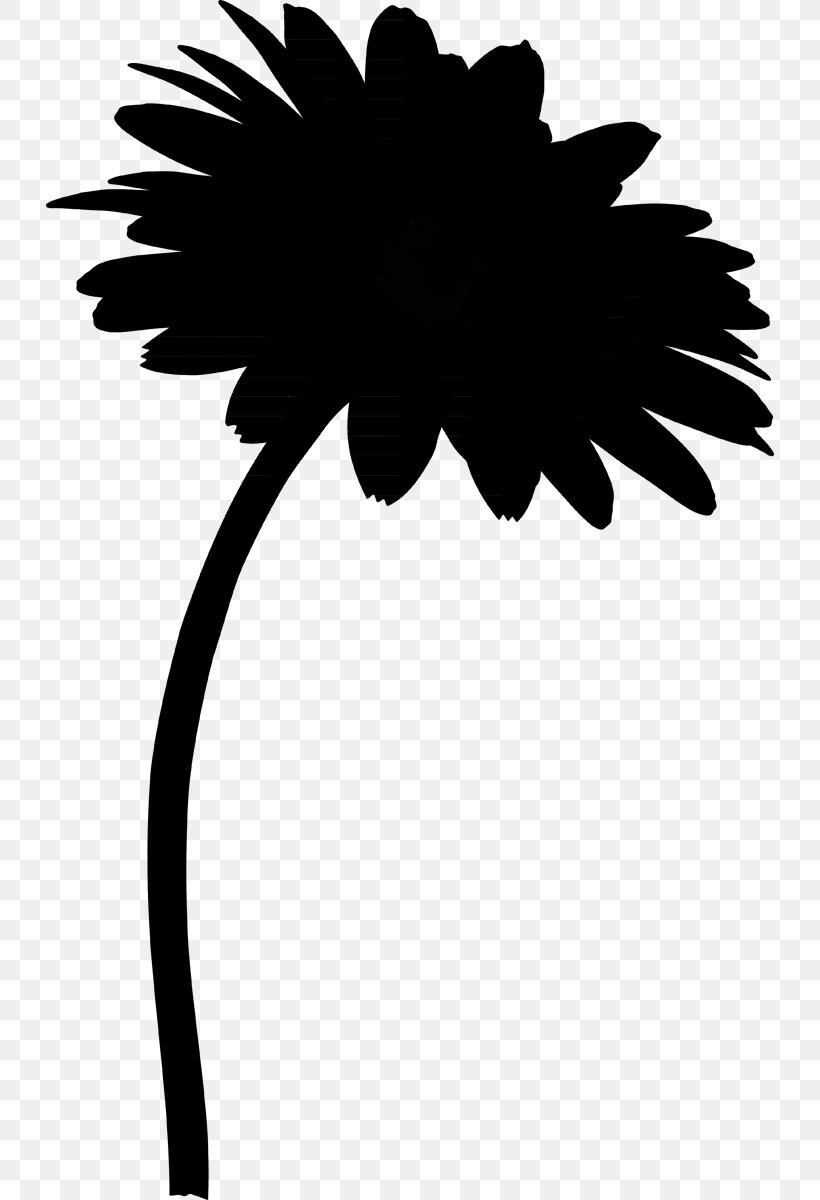 Plant Stem Flower Transvaal Daisy Clip Art, PNG, 728x1200px, Plant Stem, Arecales, Blackandwhite, Branch, Bud Download Free