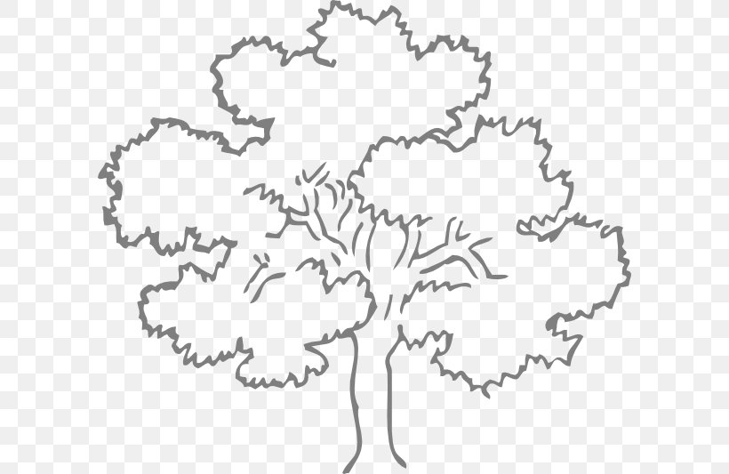 Quercus Kelloggii Tree Black And White Drawing Clip Art, PNG, 600x533px, Quercus Kelloggii, Area, Black, Black And White, Diagram Download Free