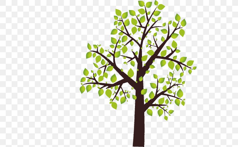 Twig Plant Stem Leaf Font, PNG, 587x507px, Twig, Branch, Leaf, Plant, Plant Stem Download Free