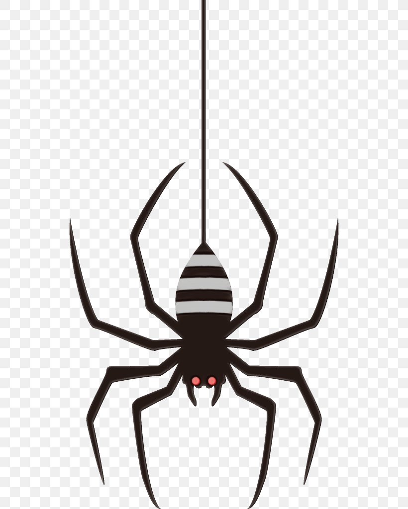 Spider Insect Arachnid Pest Line, PNG, 544x1024px, Watercolor, Arachnid, Insect, Paint, Pest Download Free