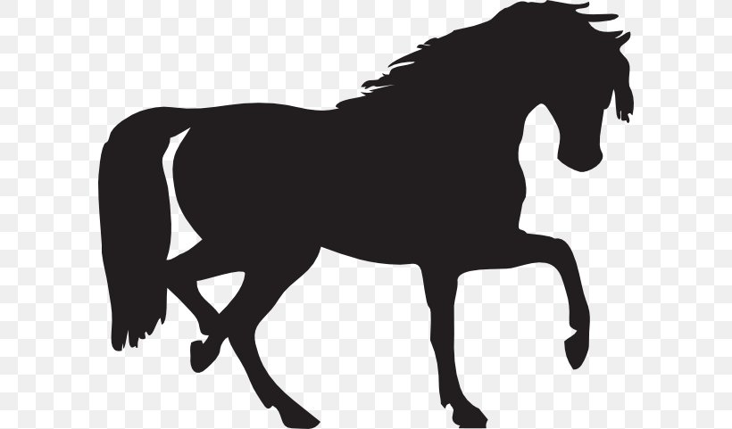 Arabian Horse Silhouette Clip Art, PNG, 600x481px, Arabian Horse, Black And White, Bridle, Colt, Draft Horse Download Free