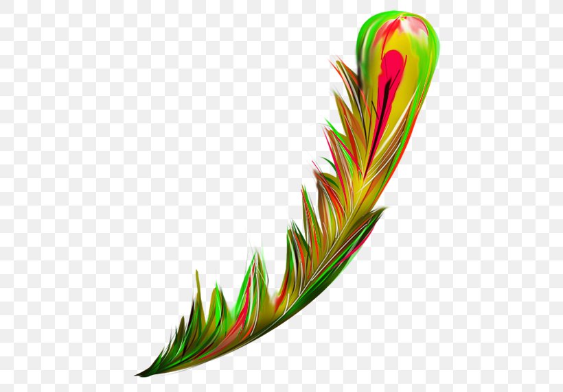 Bird Feather Green Euclidean Vector, PNG, 500x572px, Bird, Designer, Feather, Grass, Gratis Download Free