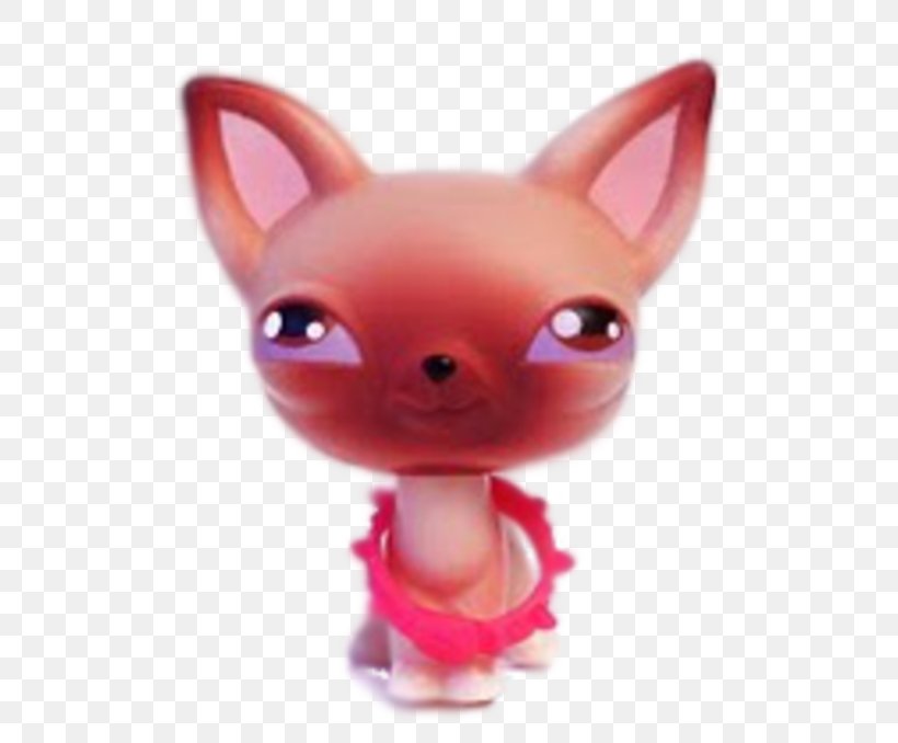 Chihuahua Littlest Pet Shop Cat, PNG, 500x678px, Chihuahua, Animal Rescue Group, Carnivoran, Cat, Dog Download Free