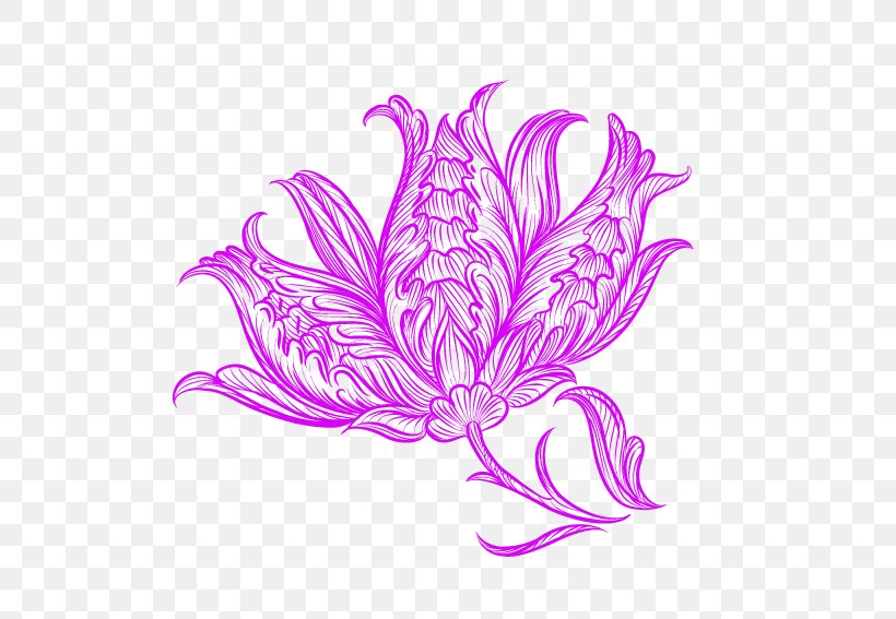 Petal Illustration, PNG, 567x567px, Petal, Decal, Feather, Flower, Flowering Plant Download Free