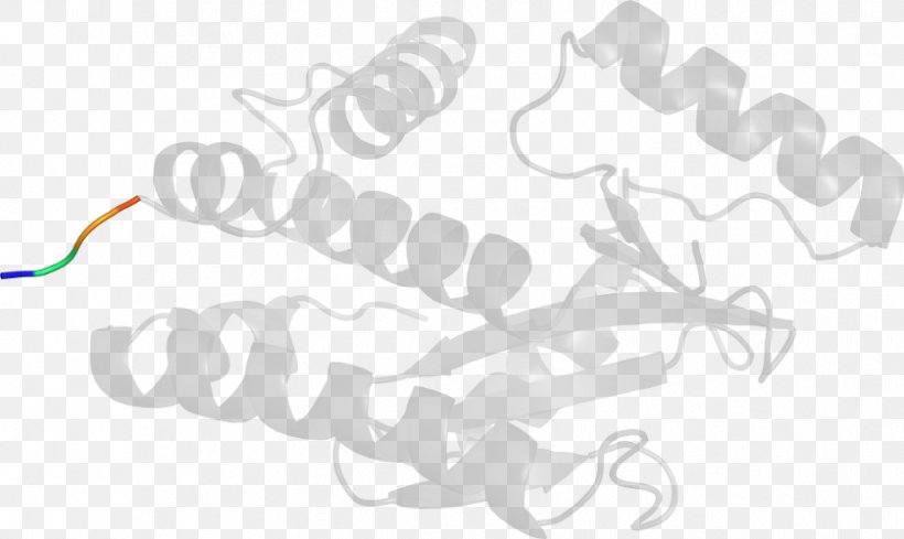 Line Angle Clip Art, PNG, 838x500px, Protein, Area, Hand, Text, White Download Free
