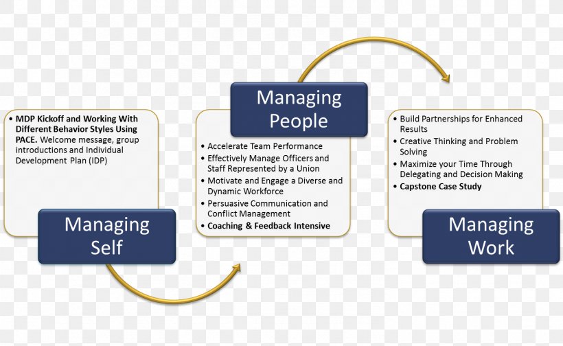 training and development process in human resource management