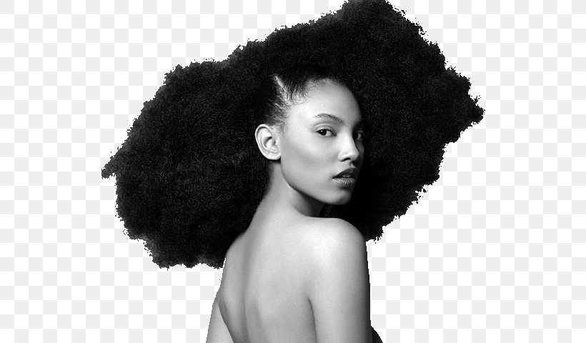 Afro-textured Hair Hairstyle Natural Hair Movement, PNG, 640x480px, Afrotextured Hair, Africanamerican Hair, Afro, Artificial Hair Integrations, Beauty Download Free