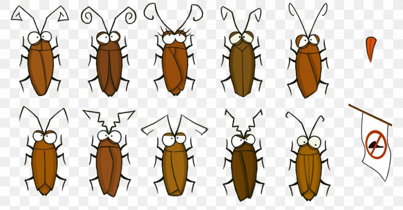 Beetle Invertebrate Pollinator Pest, PNG, 1000x522px, Beetle, Animal, Arthropod, Insect, Invertebrate Download Free