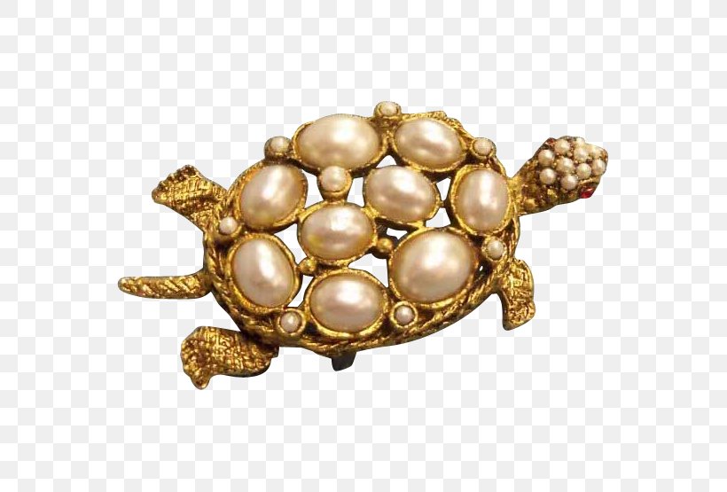Brooch Tortoise Pond Turtles Body Jewellery Gemstone, PNG, 555x555px, Brooch, Body Jewellery, Body Jewelry, Emydidae, Fashion Accessory Download Free